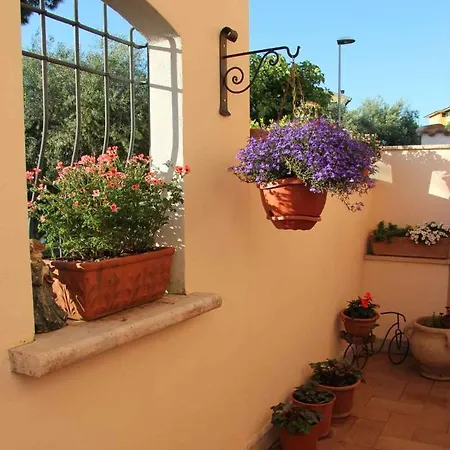 Apartment Casacucu Anguillara Sabazia
